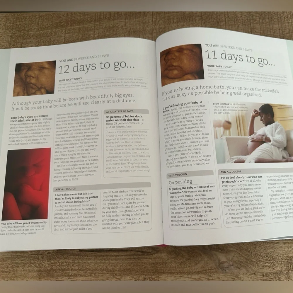 Pregnancy Day by Day | Hardcover Book | DK Publishing